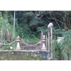 西洋棋造型繫船柱 , 羿源工業有限公司