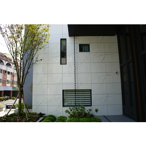 紋路結晶化玻璃