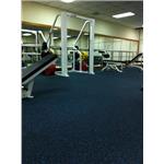 日月光科技公司健身中心採用亞瑟華－扭飛力專用地墊19 - 樺鑫實業有限公司