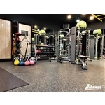 cycoholic力憲運動4 - 樺鑫實業有限公司