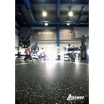 台北市松山運動中心1 - 樺鑫實業有限公司