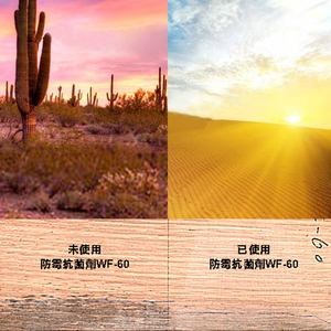 水性防霉抗菌劑 , 瑞怡造漆有限公司