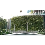 和信醫院 綠化生態實績-植生牆 - 普渼登實業股份有限公司