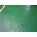 Epoxy-面塗 , 旭日工程有限公司