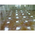 Epoxy-亮面 , 旭日工程有限公司