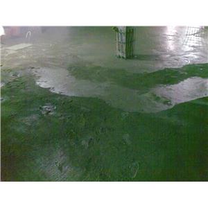 整體粉光-金鋼砂 , 旭日工程有限公司