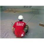 整體粉光 , 旭日工程有限公司