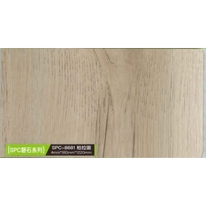 磐石系列-柏拉圖 , 約恩嗶聯合有限公司