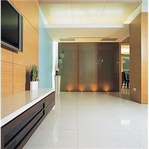 漏水老屋-復古式夾紗玻璃牆