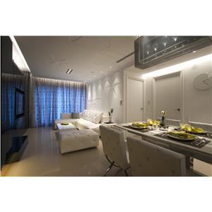 黑與白的對話-迷幻絢麗的化身