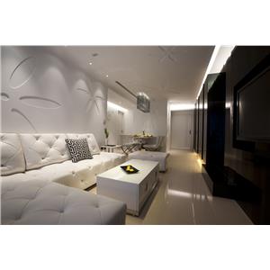 黑與白的對話-迷幻絢麗的化身