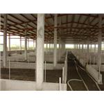 畜牧寮舍施工照 - 溫發水泥製品加工廠