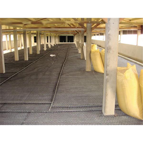 畜牧寮舍施工照