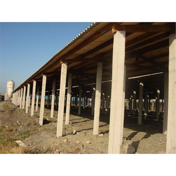 畜牧寮舍施工照,溫發水泥製品加工廠