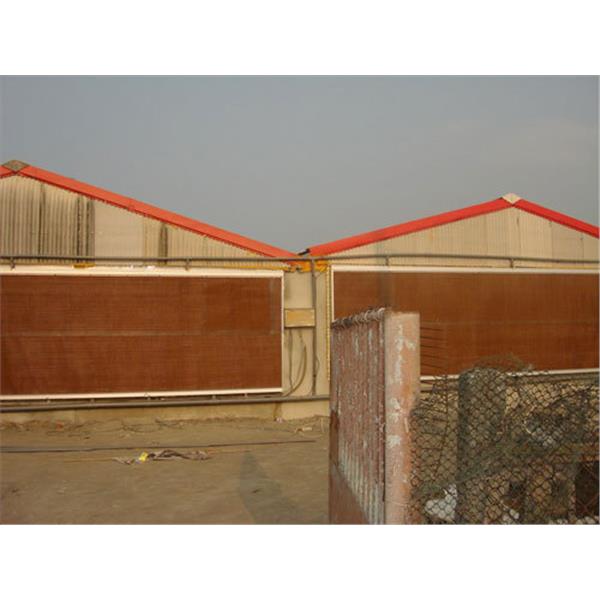 畜牧竂舍施工照,溫發水泥製品加工廠