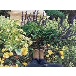 大理石手剪畫 - 吉鈾實業股份有限公司