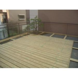 大自然系列Great+universe-南方松