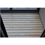 大自然系列Great+universe-南方松 - 山衍實業有限公司