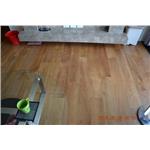 新原古-緬甸柚木複合5寸6分厚單片300條 - 山衍實業有限公司