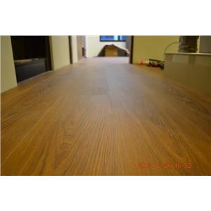 超耐磨地板星空系列-獅子