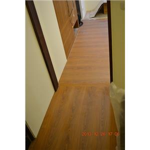 超耐磨地板星空系列-獅子