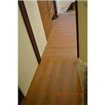 超耐磨地板星空系列-獅子 - 山衍實業有限公司