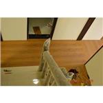 超耐磨地板星空系列-獅子 - 山衍實業有限公司