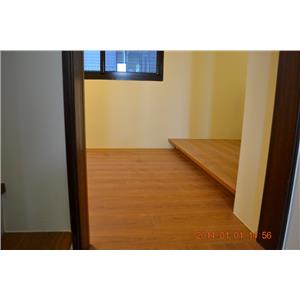 超耐磨地板同步立體星空系列-獅子