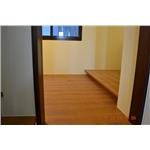 超耐磨地板同步立體星空系列-獅子 - 山衍實業有限公司