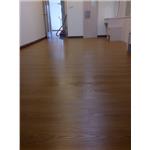 美耐板超耐磨地板 同步立體紋 星空系列 獅子 - 山衍實業有限公司