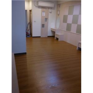 美耐板超耐磨地板 同步立體紋 星空系列 獅子