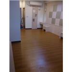 美耐板超耐磨地板 同步立體紋 星空系列 獅子 - 山衍實業有限公司