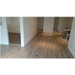 Robina超耐磨地板聖母峰橡木O116RC - 山衍實業有限公司