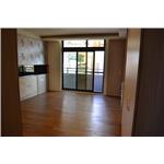 新原古-緬甸柚木海島複合地板厚單片200條 - 山衍實業有限公司