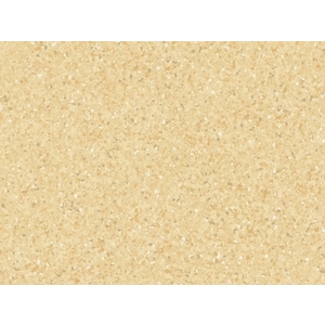 Primo/Eclipse Premium 整捲式地板-21010 661,富銘有限公司