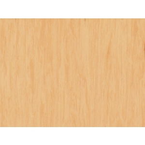 Standard Plus 整捲式地板-21003 485,富銘有限公司