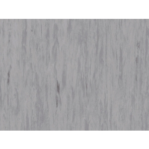 Standard Plus 整捲式地板-21003 498 , 星誠有限公司