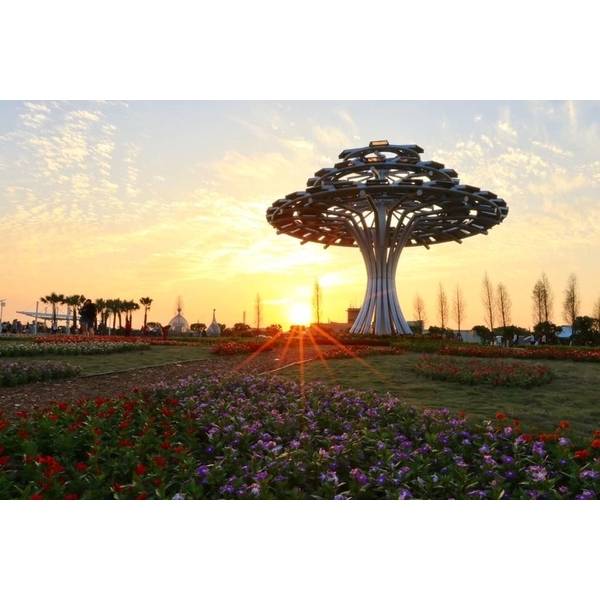 夕陽下的生命樹,昶鉅工業有限公司