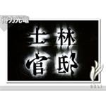 Ａ士林官邸 - 得力光電