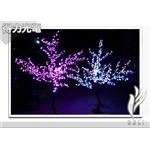 deli 櫻花樹 - 得力光電