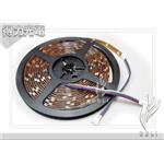 DELI_5050_黃底 - 得力光電