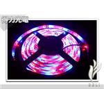 DELI_條燈 - 得力光電