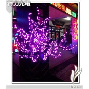 deli粉紅 櫻花樹