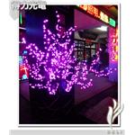 deli粉紅 櫻花樹 - 得力光電