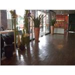 地板安裝實例 - 中北化學工業股份有限公司