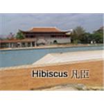 紙模地坪-圓山飯店 - 凡臣企業有限公司