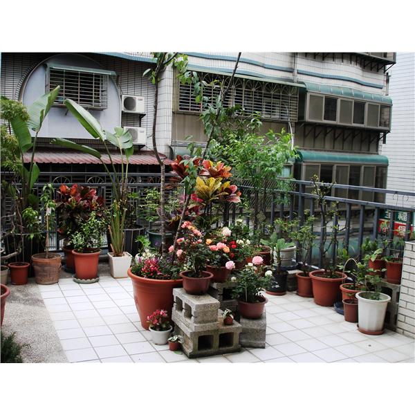 花園改造 花園改造,京甫室內裝修設計工程有限公司