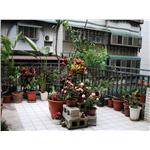 花園改造-京甫室內裝修設計工程有限公司