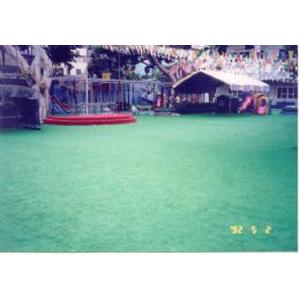 PP人工草 , 同育展業有限公司