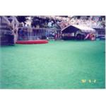 PP人工草 , 同育展業有限公司